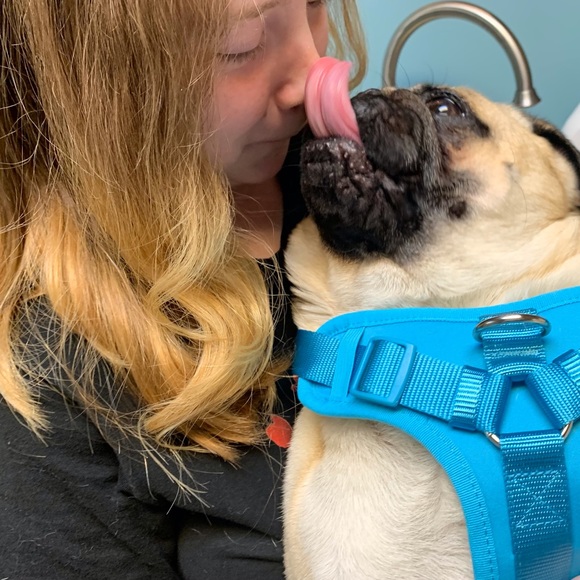 Meet your Posher, Melanie - Picture 9 of 12